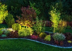 Illuminated Garden
